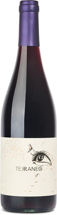 Teraneo